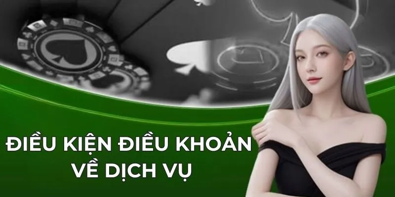 Điều khoản điều kiện về dịch vụ