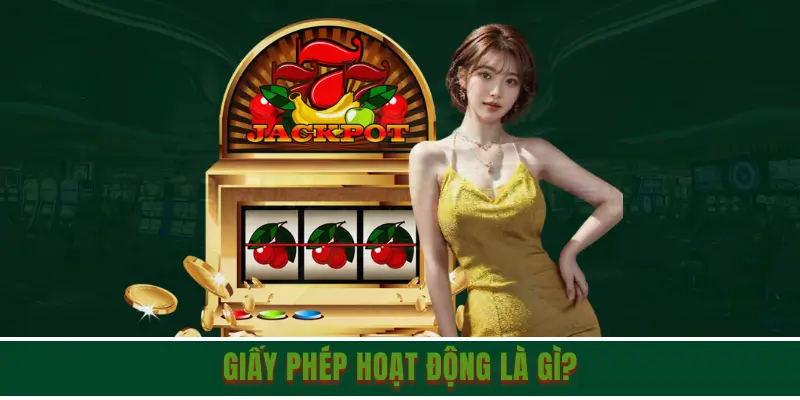 Sơ lược về giấy phép hoạt động