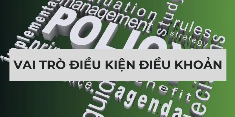 Vai trò điều khoản điều kiện